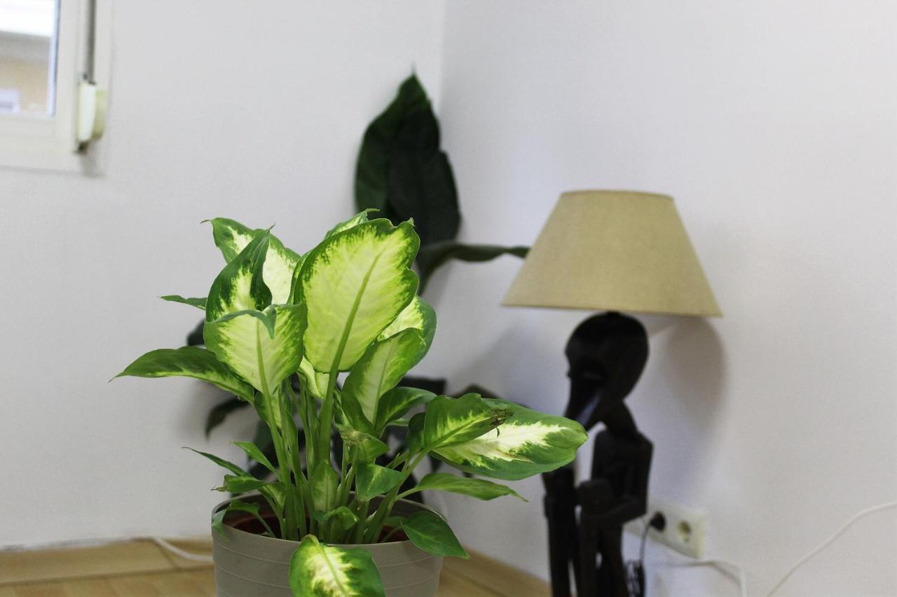 Al Pie Del Camarin Con Parking Gratis Apartment Jaen Exterior photo